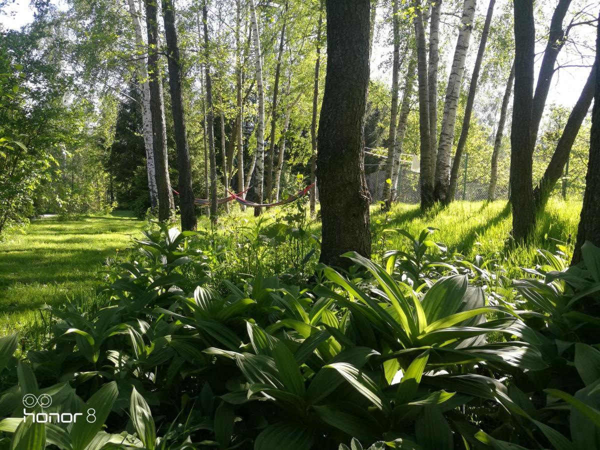 Vila Zajacowka Polanica-Zdrój Exteriér fotografie