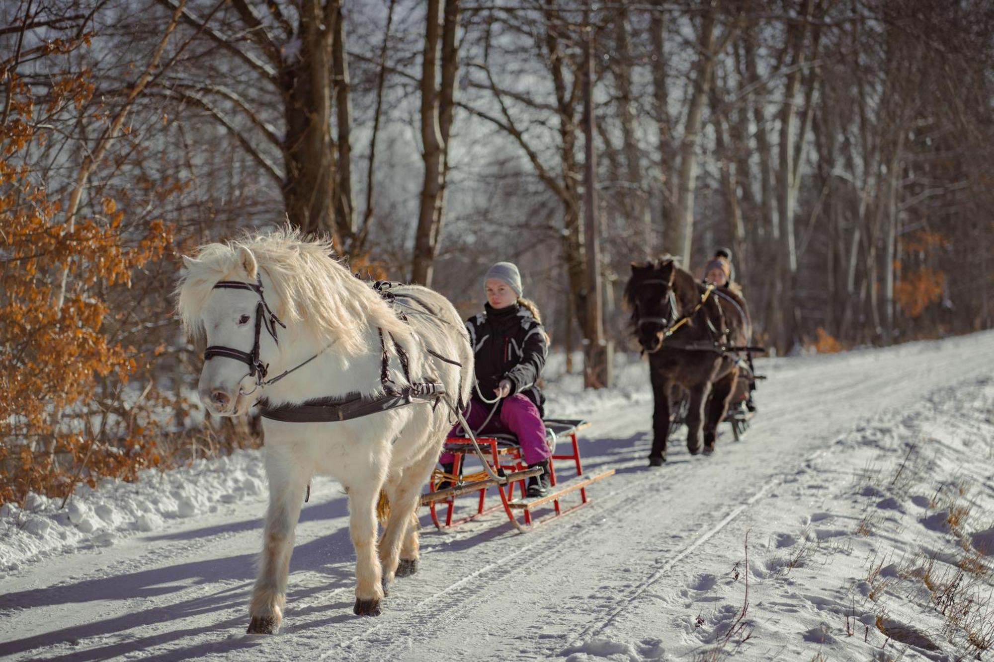 Vila Zajacowka Polanica-Zdrój Exteriér fotografie