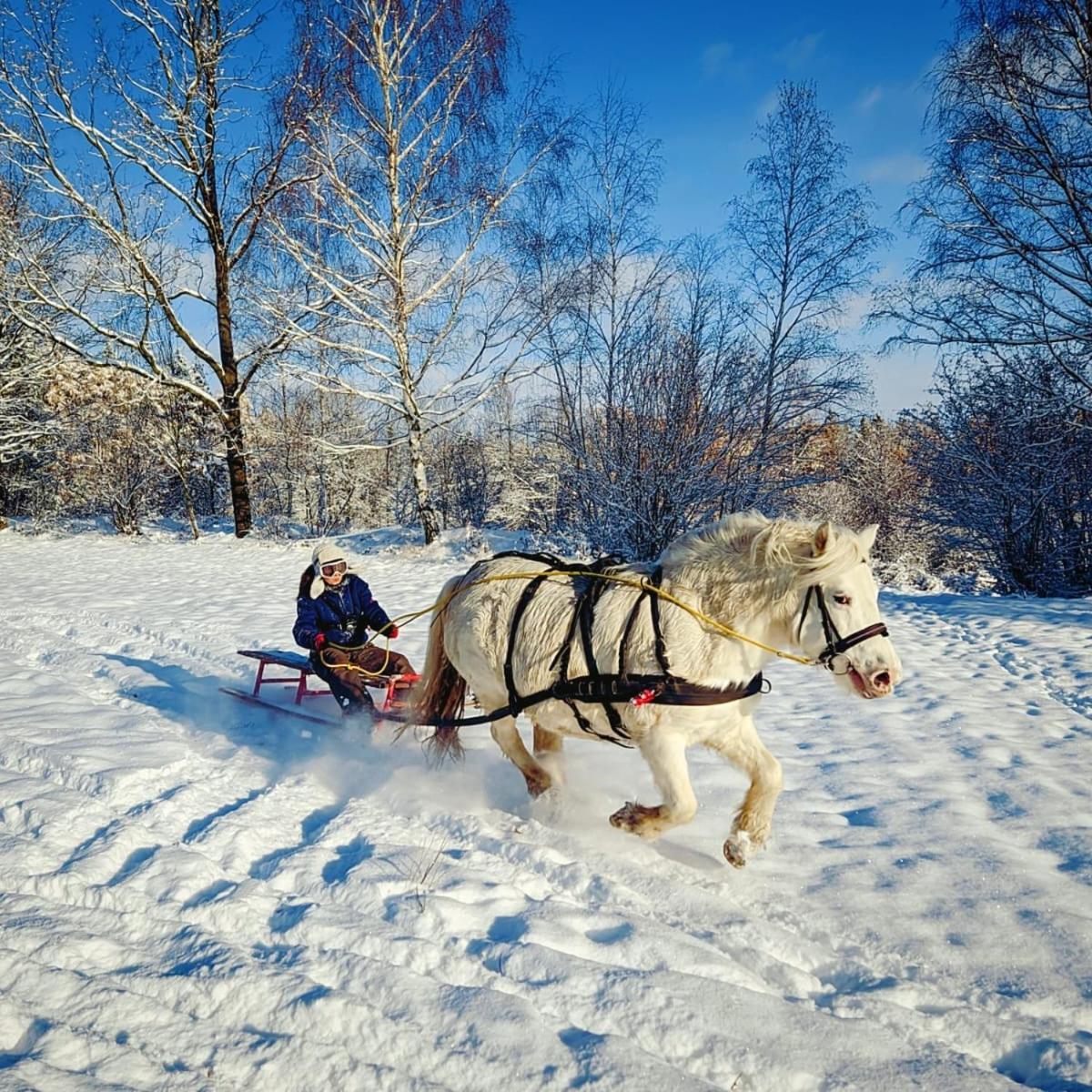 Vila Zajacowka Polanica-Zdrój Exteriér fotografie