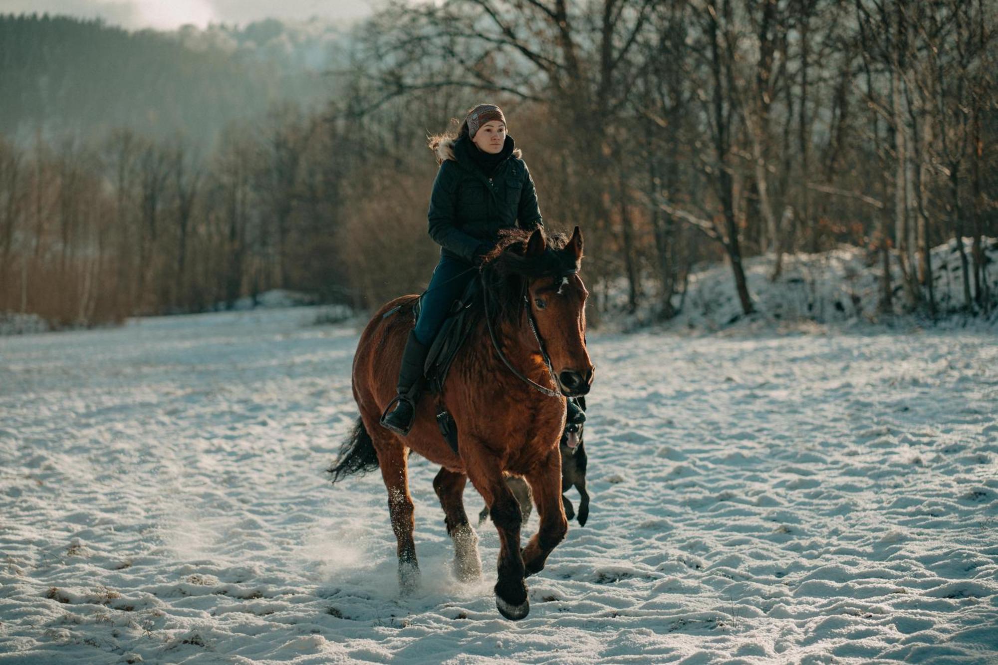 Vila Zajacowka Polanica-Zdrój Exteriér fotografie