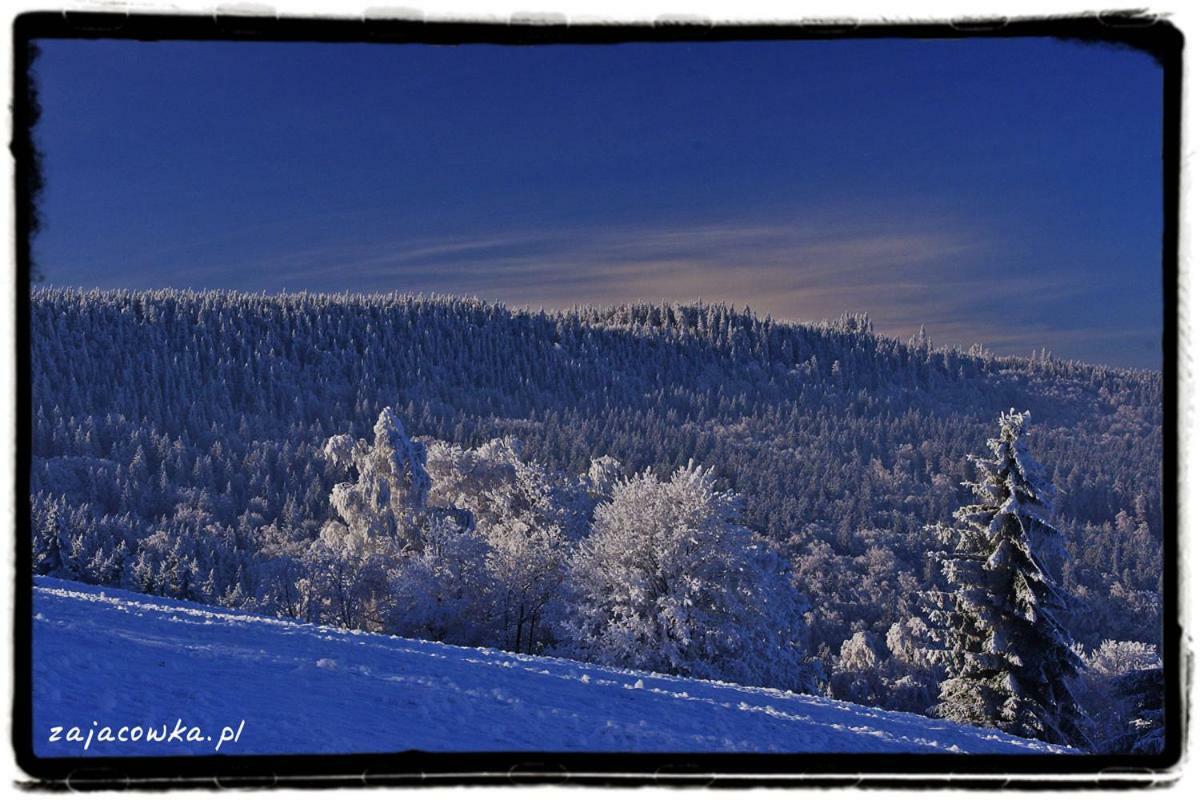 Vila Zajacowka Polanica-Zdrój Exteriér fotografie